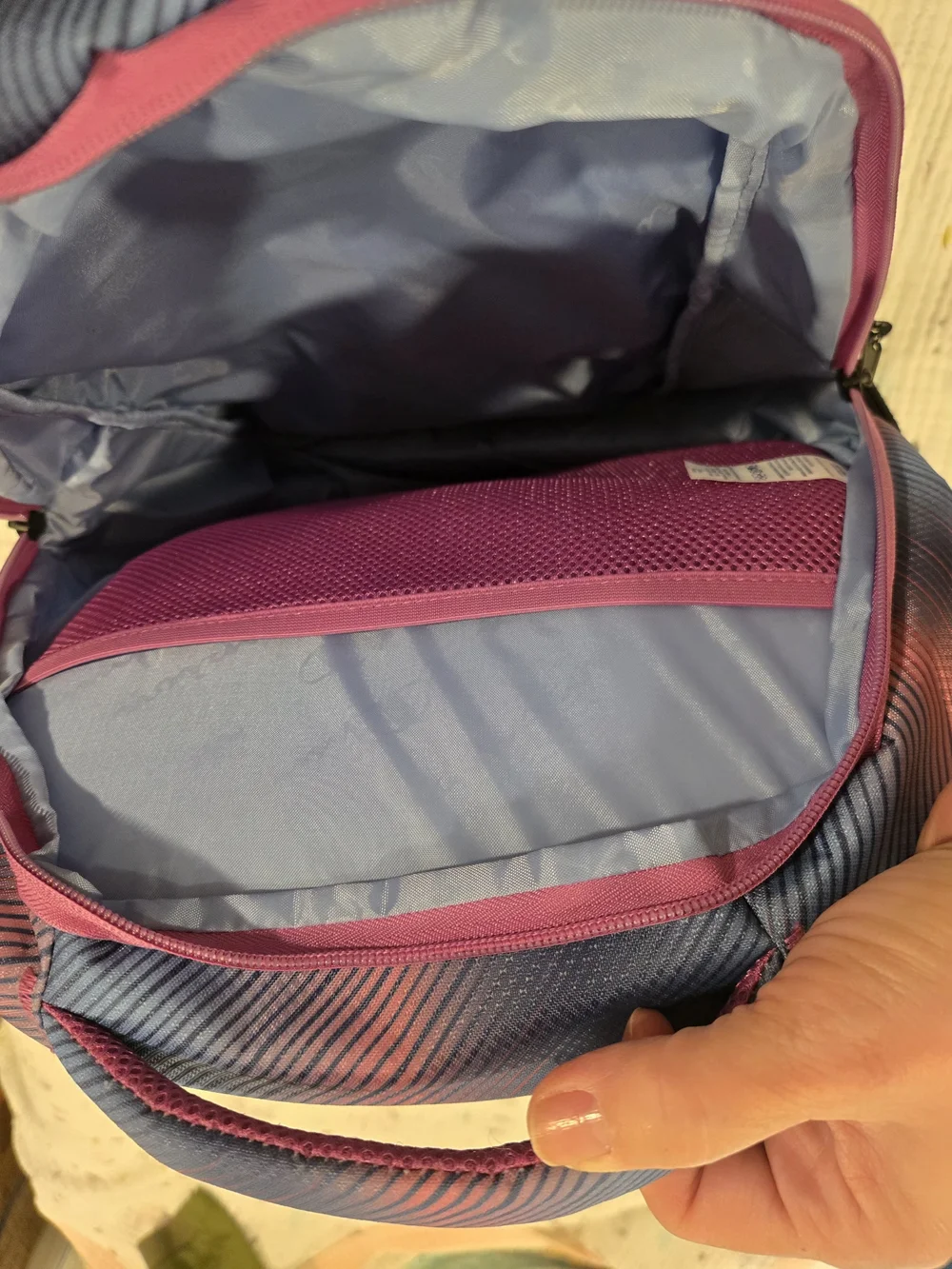 Champion Gradient Pink & Blue Backpack